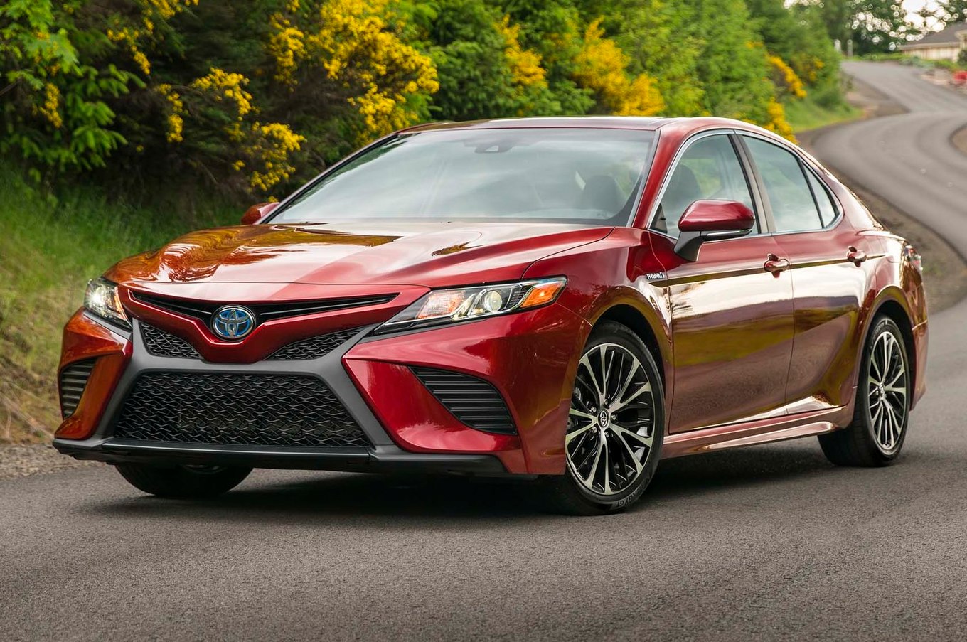 Camry XSE